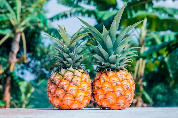 datos sobre la piña