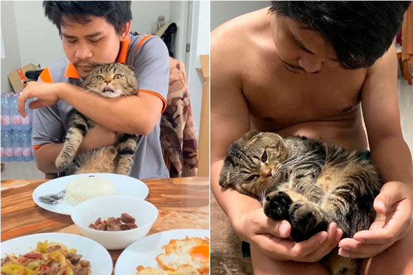 Jarvis el gato le robó a su marido
