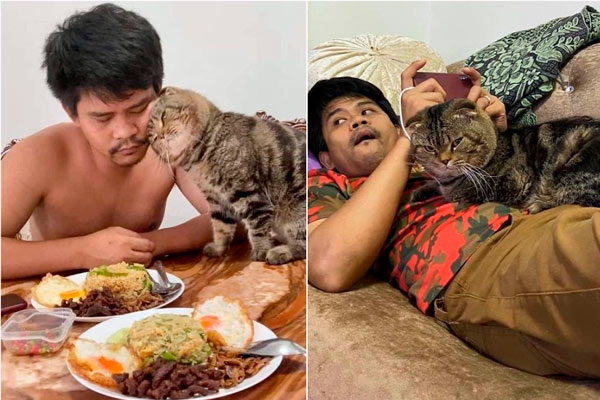 Jarvis el gato le robó a su marido