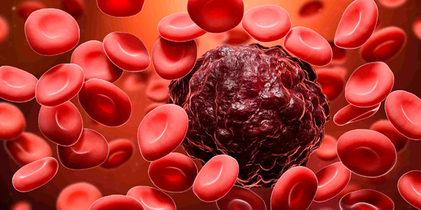 tu tipo de sangre puede decir sobre tu cuerpo