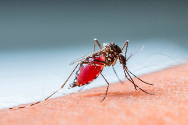 tu tipo de sangre puede decir sobre tu cuerpo