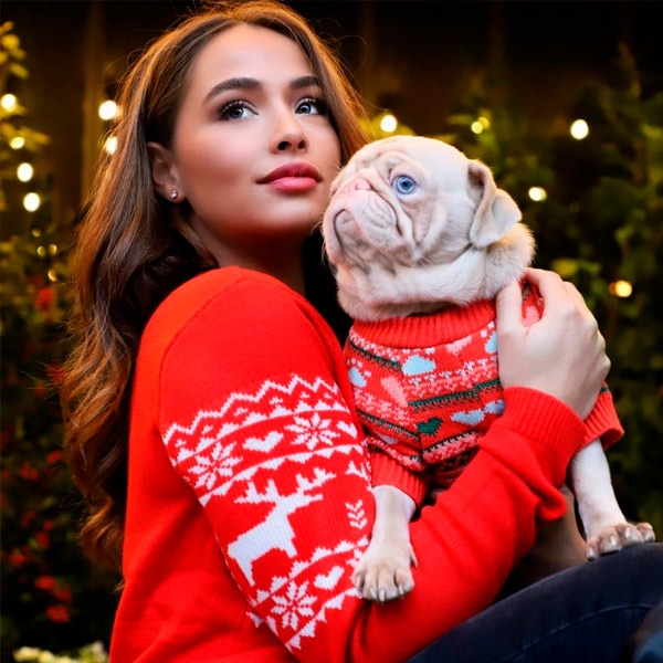 cachorro rosado gana más de 76.000 seguidores en Instagram
