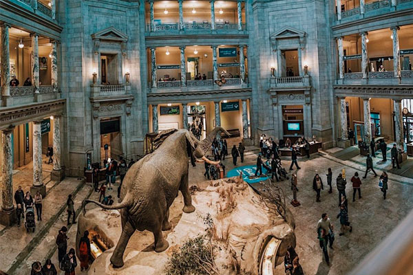 museos de historia natural del mundo