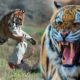 protegerte de los animales salvajes