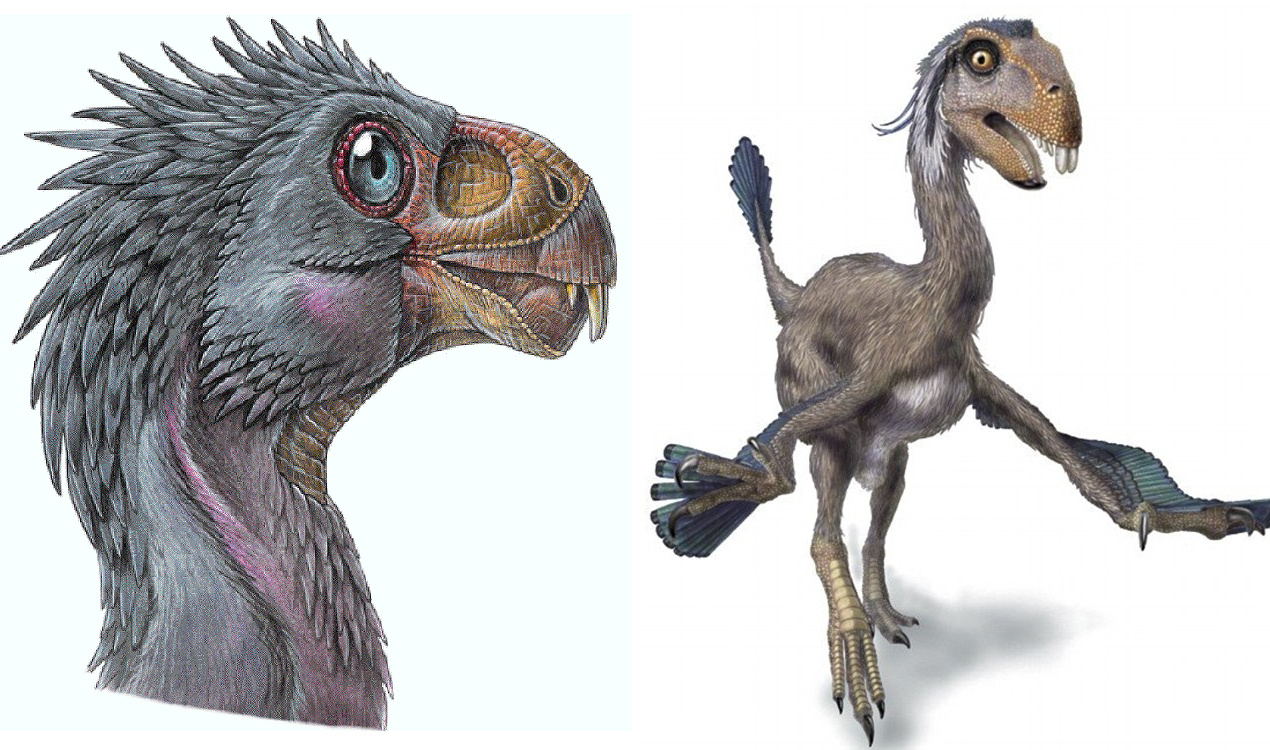 1) Incisovisaurio