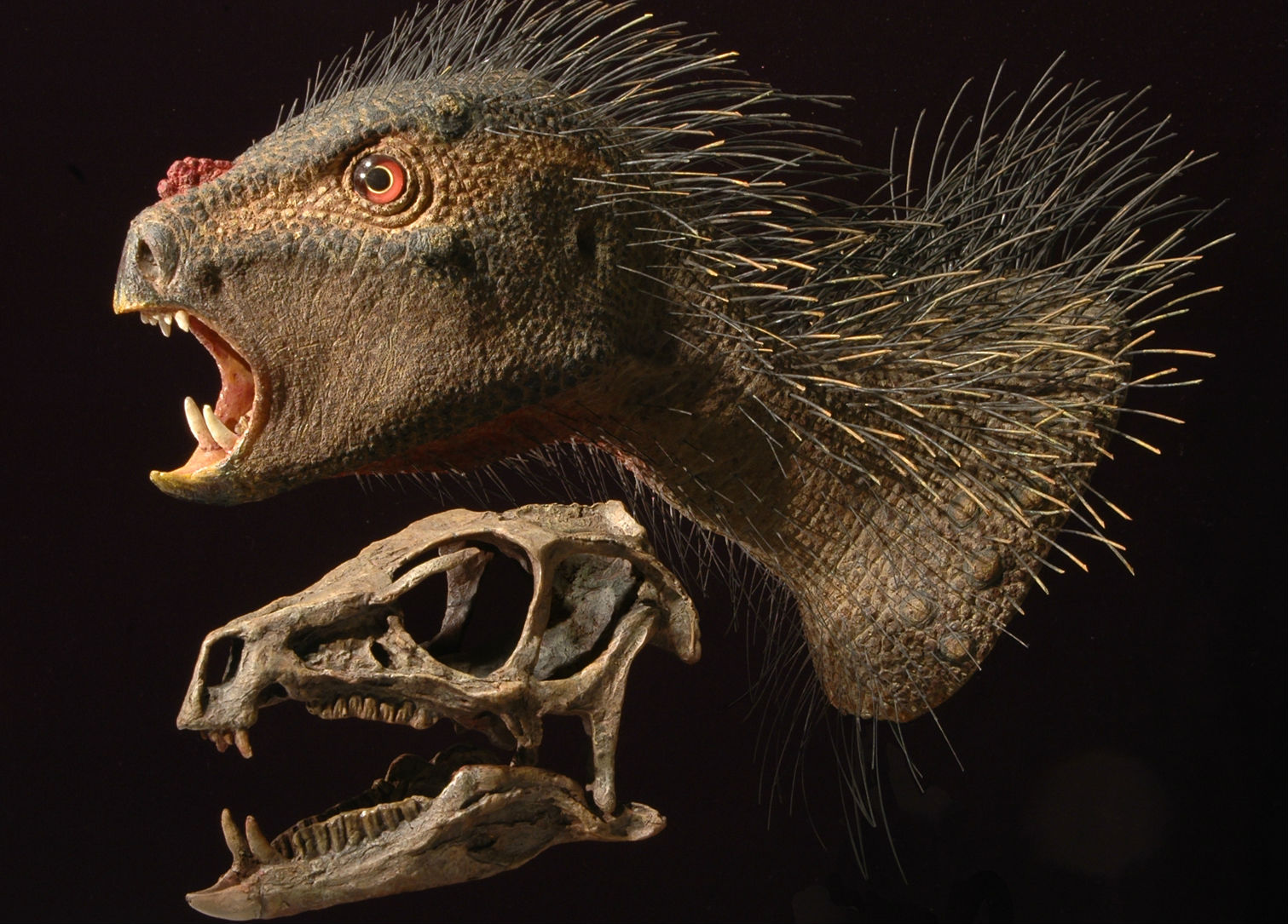 10) Pegomastax
