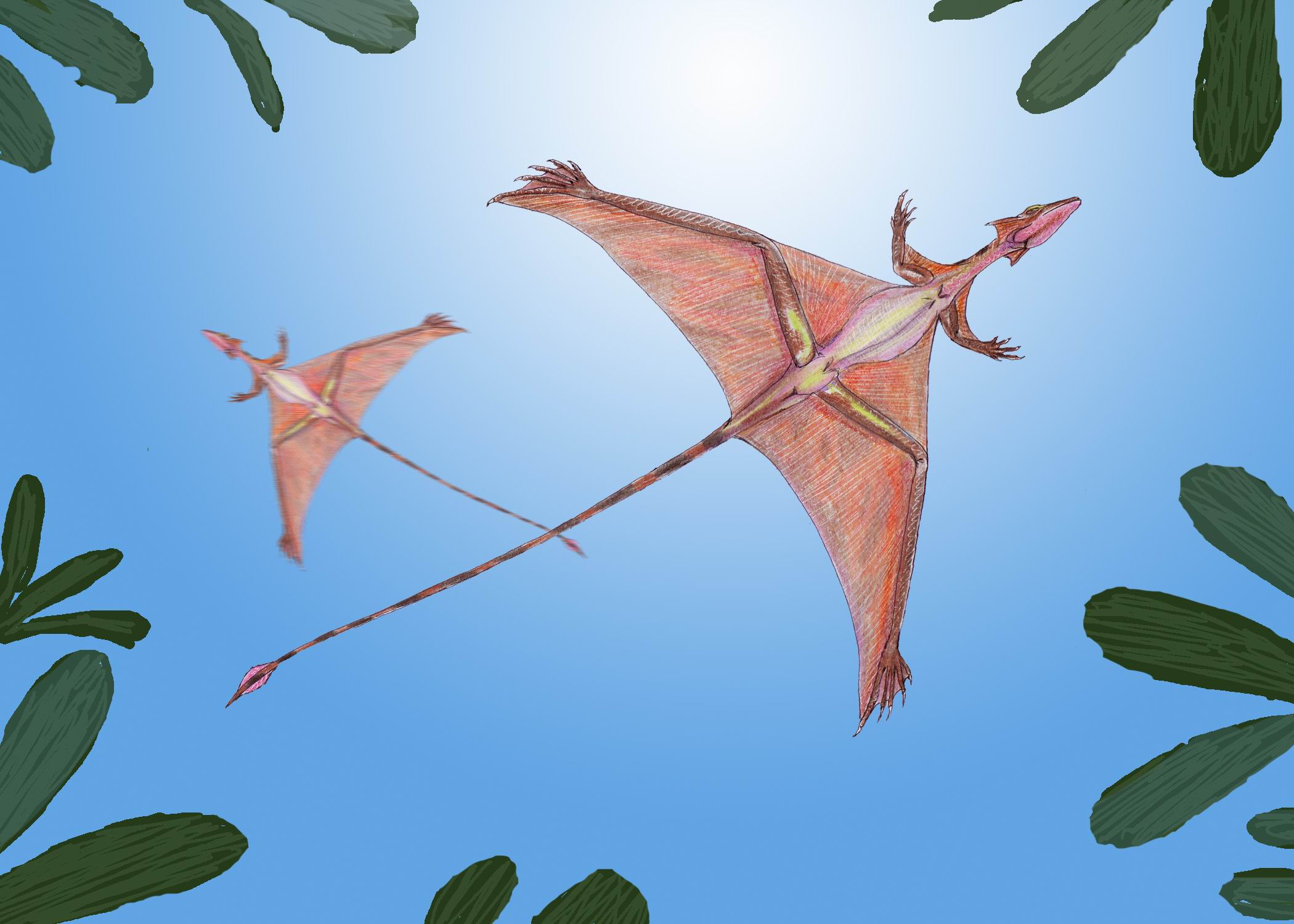 2) Sharoviptérix