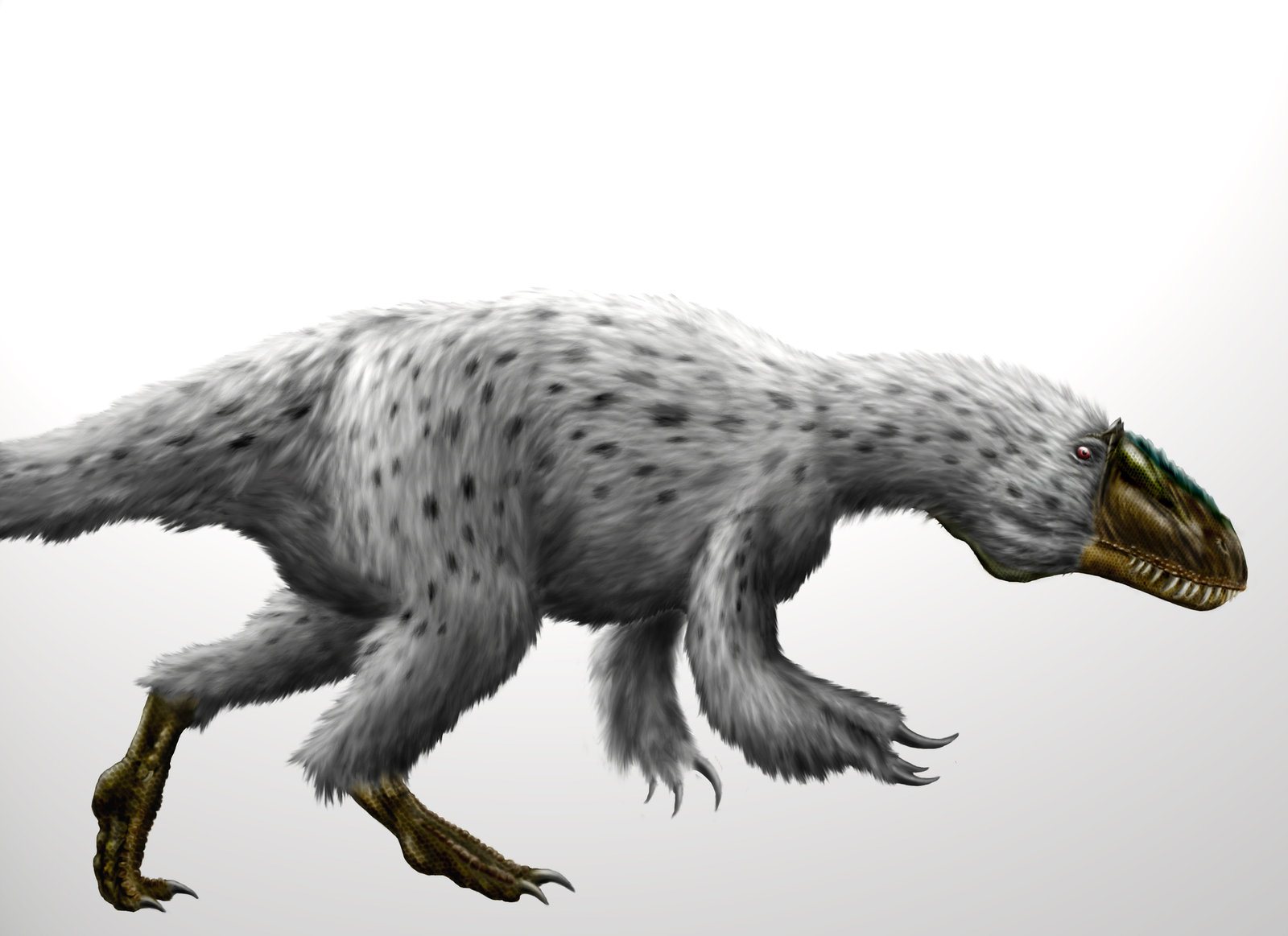 8) Jutytirano