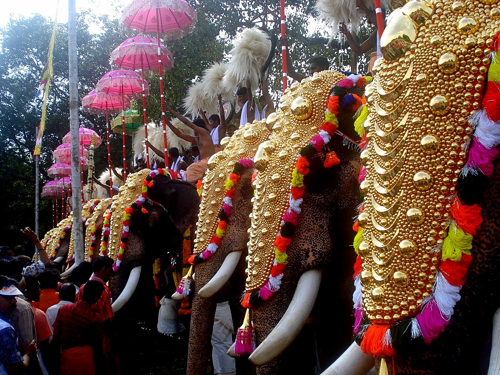 Festival del elefante en la India 3