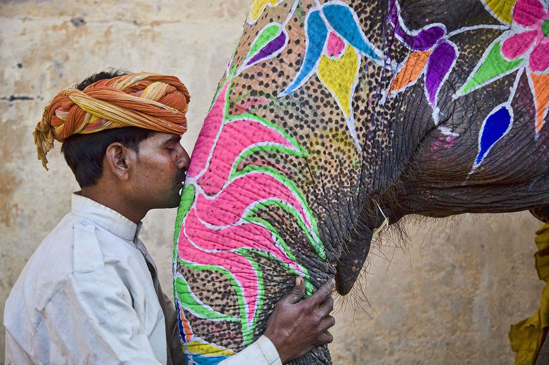 Festival del elefante en la India 4