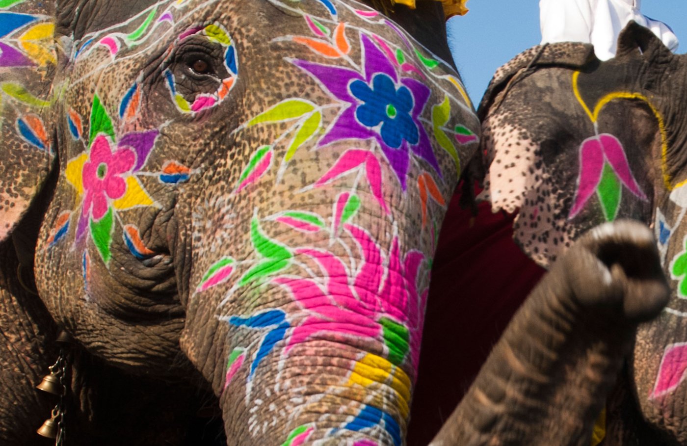 Dos hombres indios posan entre elefantes durante el Festival anual de elefantes de Jaipur