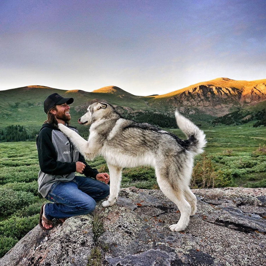El perro lobo de Loki 2
