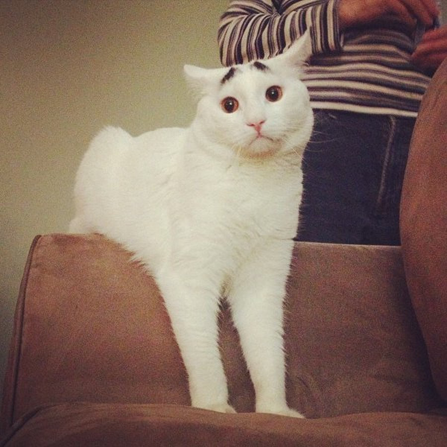 Sam 2: