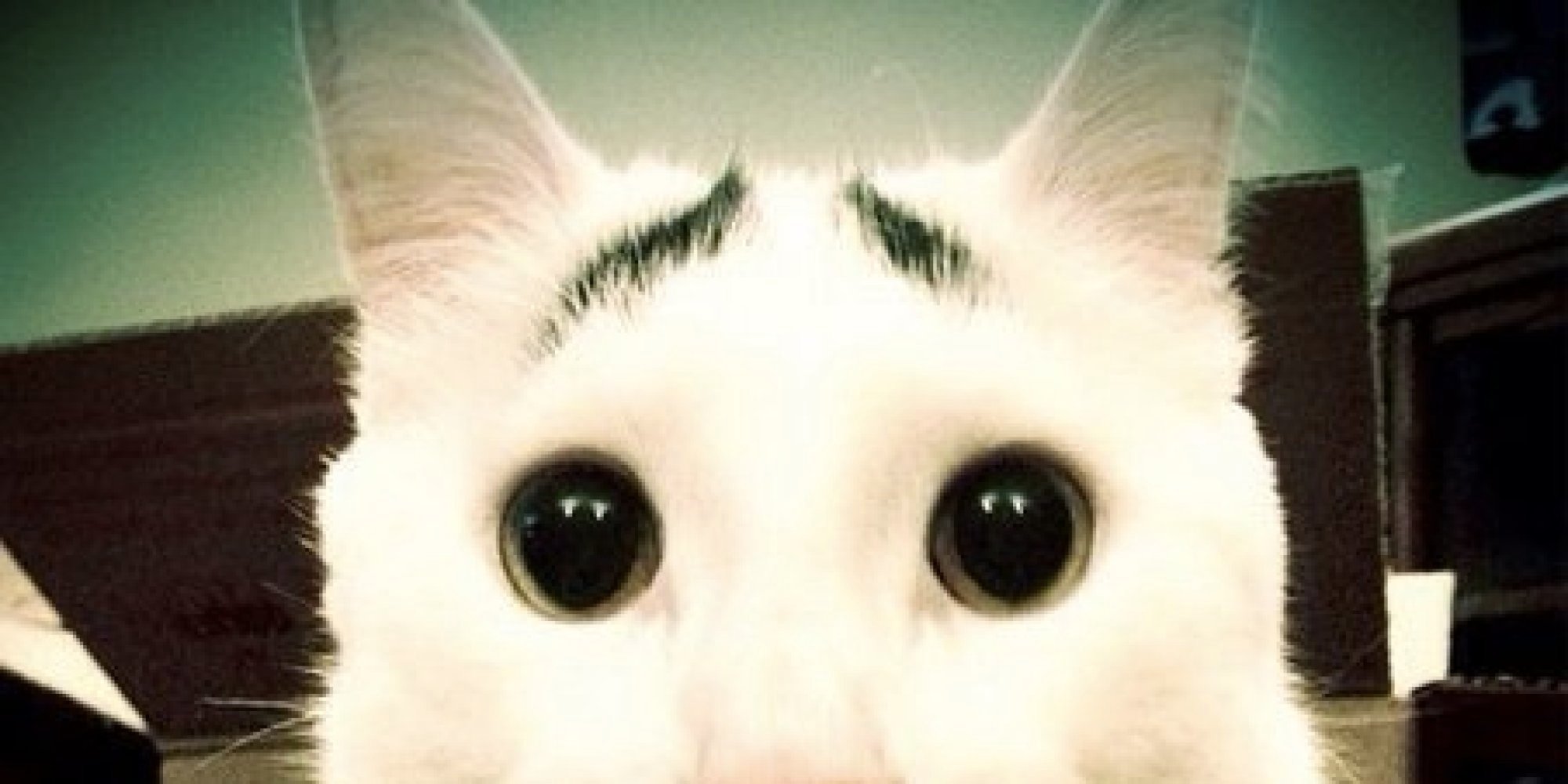 Sam 3: