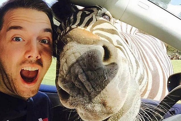 Tomarse selfies con animales salvajes es la nueva tendencia 10