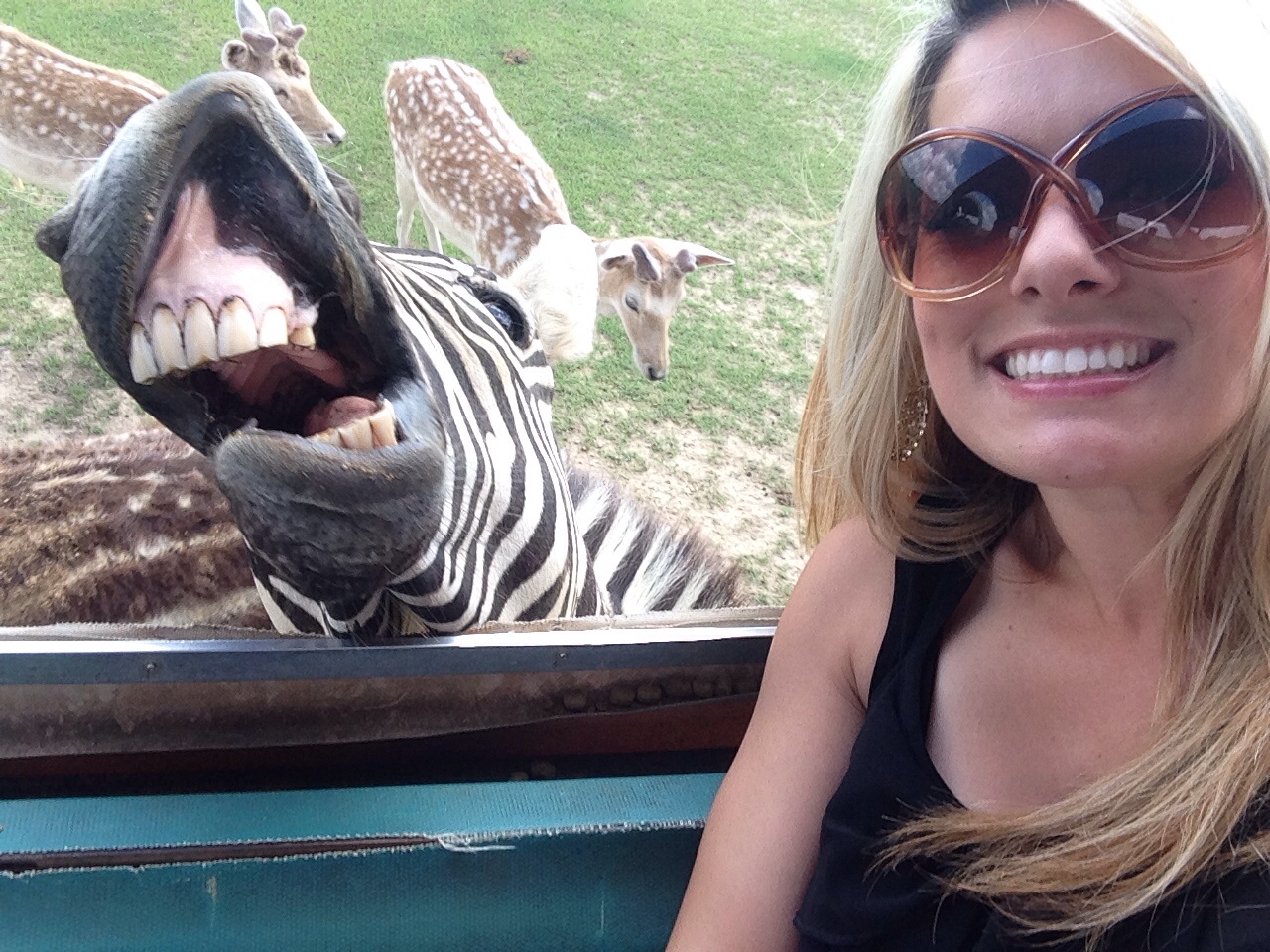 Tomarse selfies con animales salvajes es la nueva tendencia 11