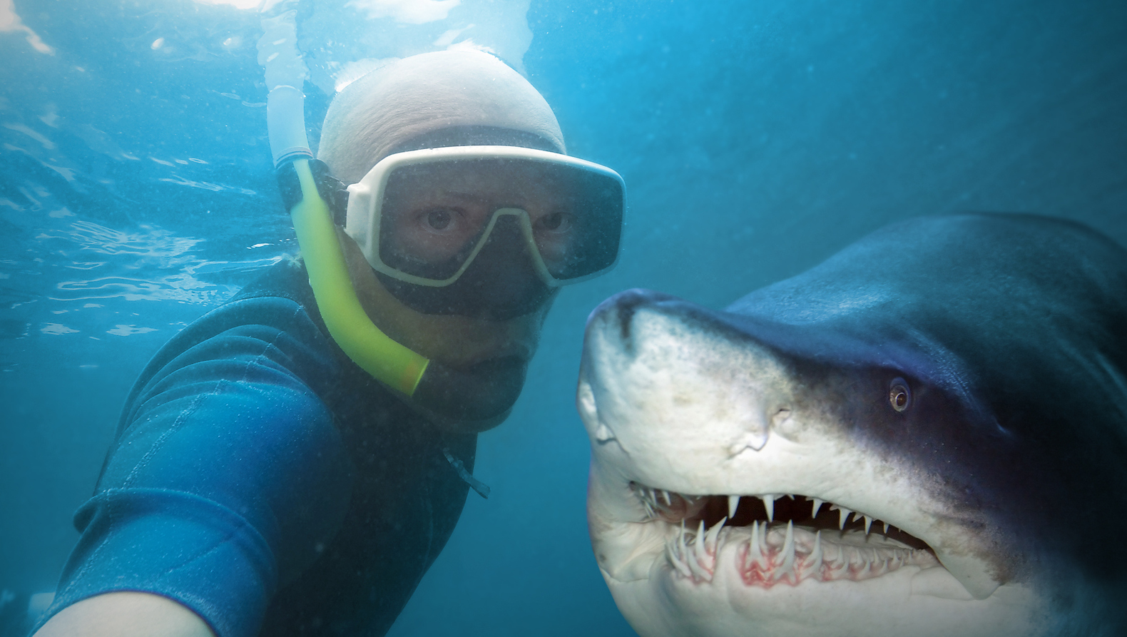 Tomarse selfies con animales salvajes es la nueva tendencia 12