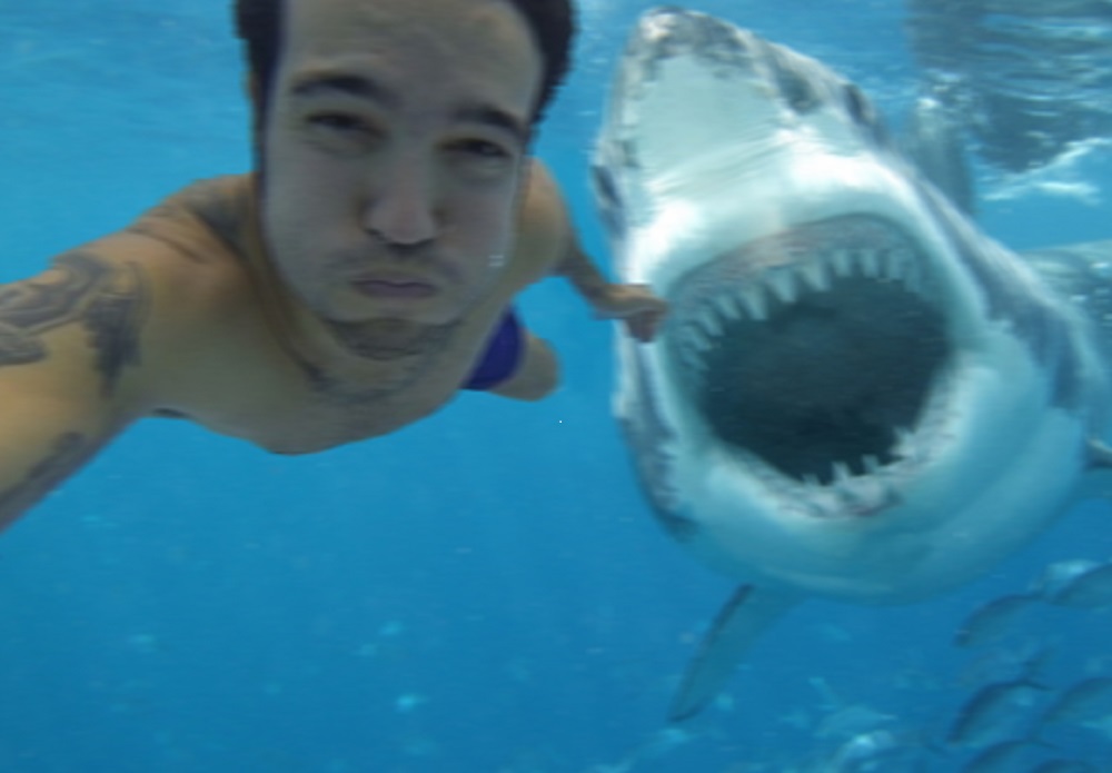 Tomarse selfies con animales salvajes es la nueva tendencia 14