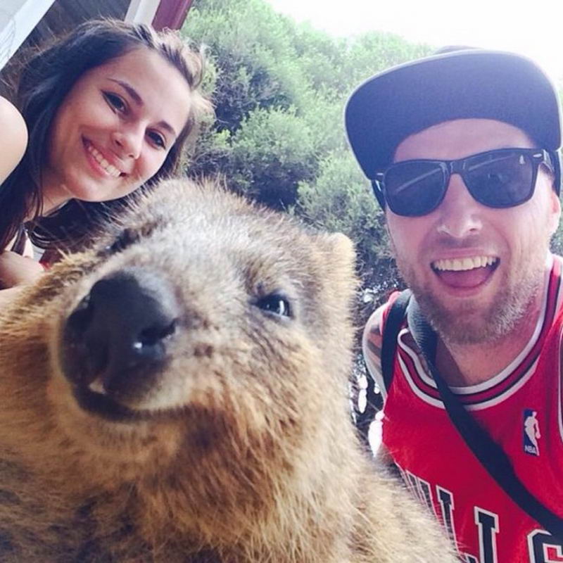 Tomarse selfies con animales salvajes es la nueva tendencia 16