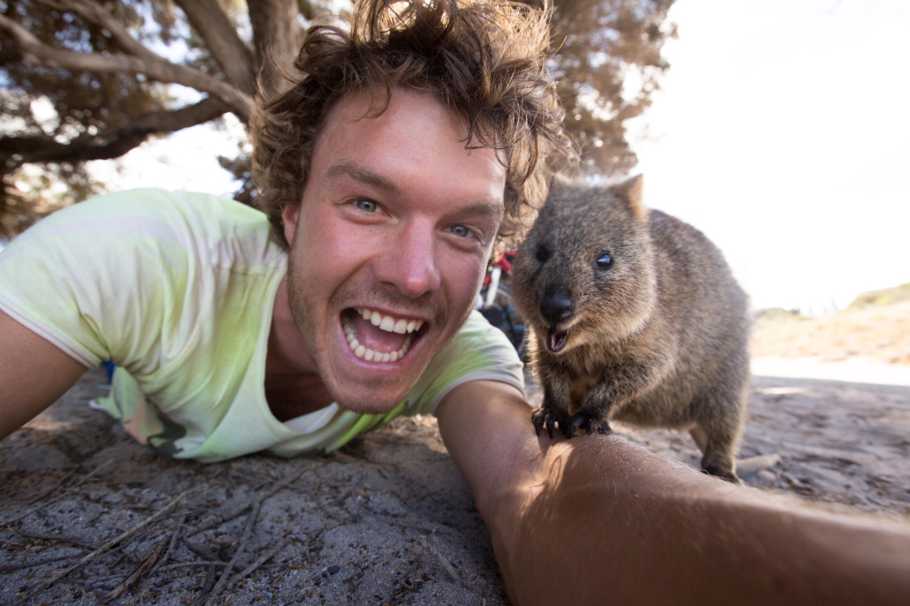 Tomarse selfies con animales salvajes es la nueva tendencia 17