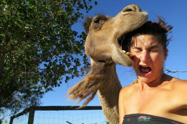 Tomarse selfies con animales salvajes es la nueva tendencia 19