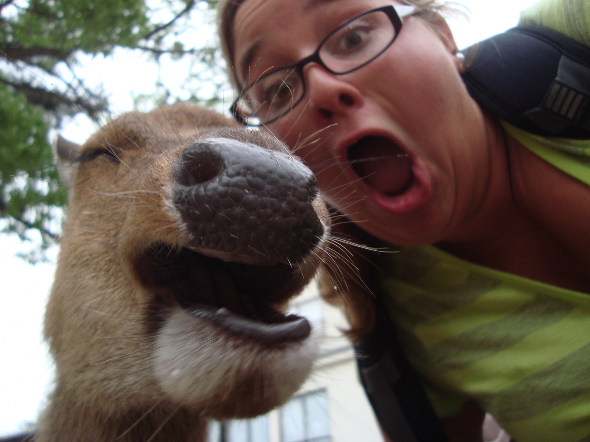 Tomarse selfies con animales salvajes es la nueva tendencia 3