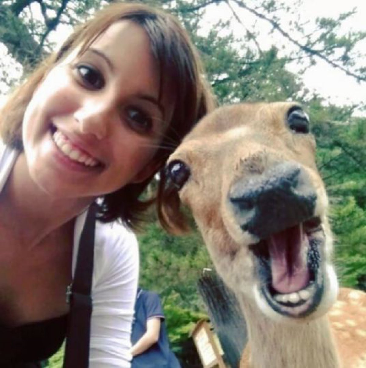 Tomarse selfies con animales salvajes es la nueva tendencia 4