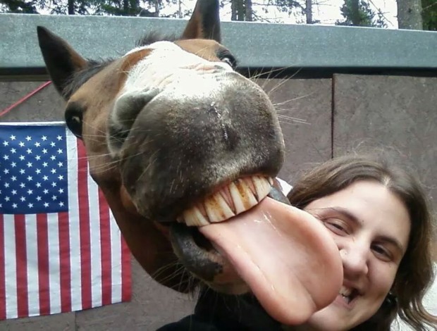 Tomarse selfies con animales salvajes es la nueva tendencia 5