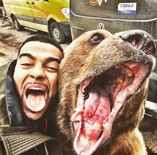 Tomarse selfies con animales salvajes es la nueva tendencia 6
