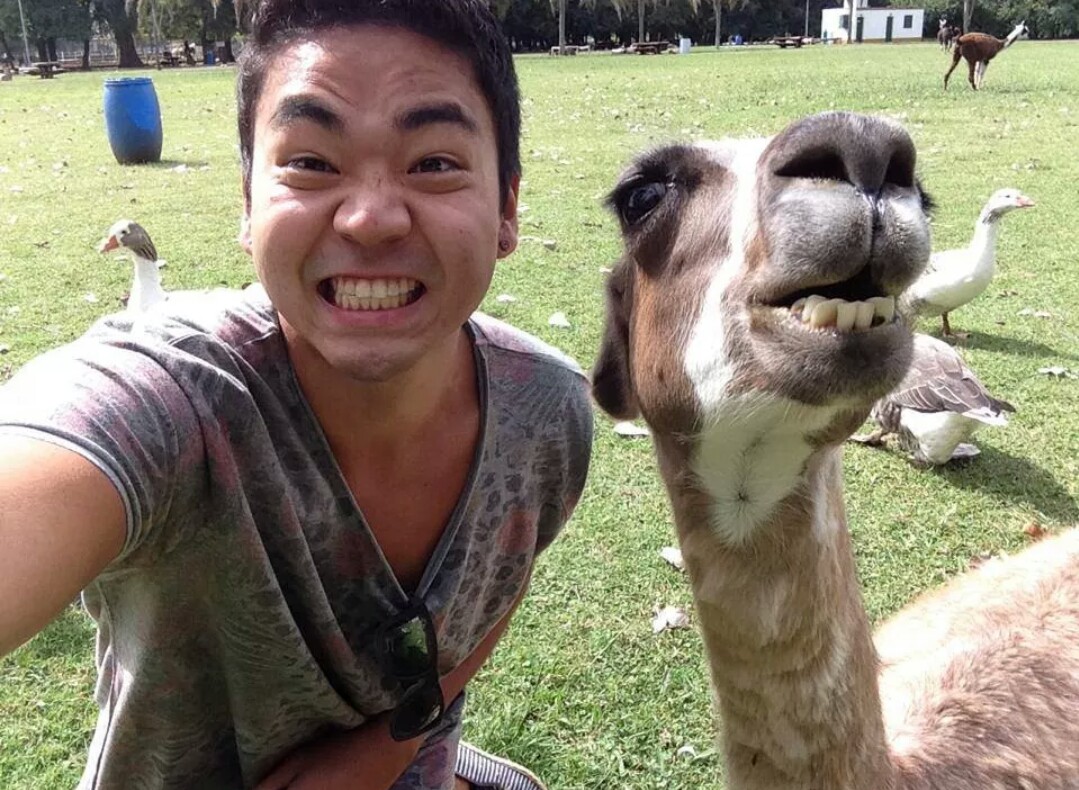 Tomarse selfies con animales salvajes es la nueva tendencia 9