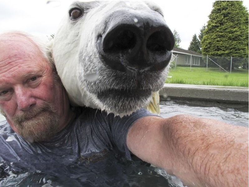 tomando selfies