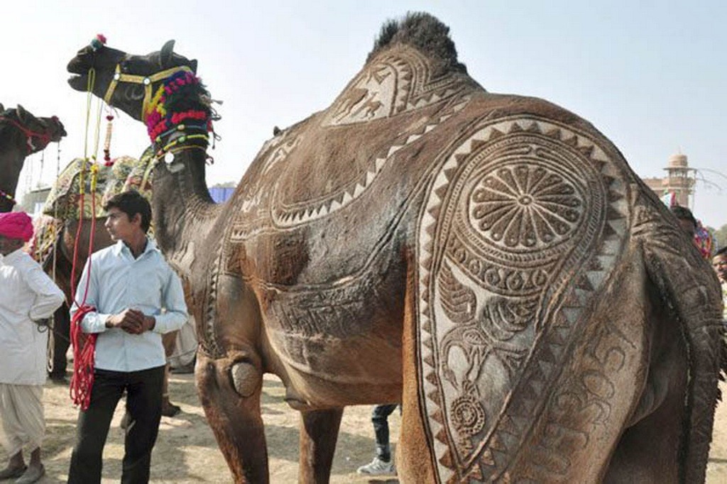 3 en Rajastán en India
