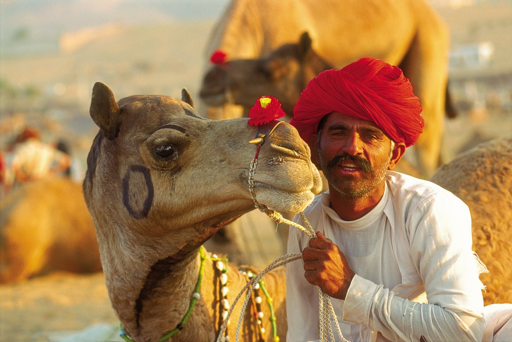 5 en Rajastán en India