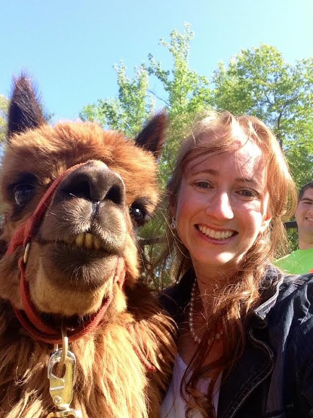 selfie de alpaca