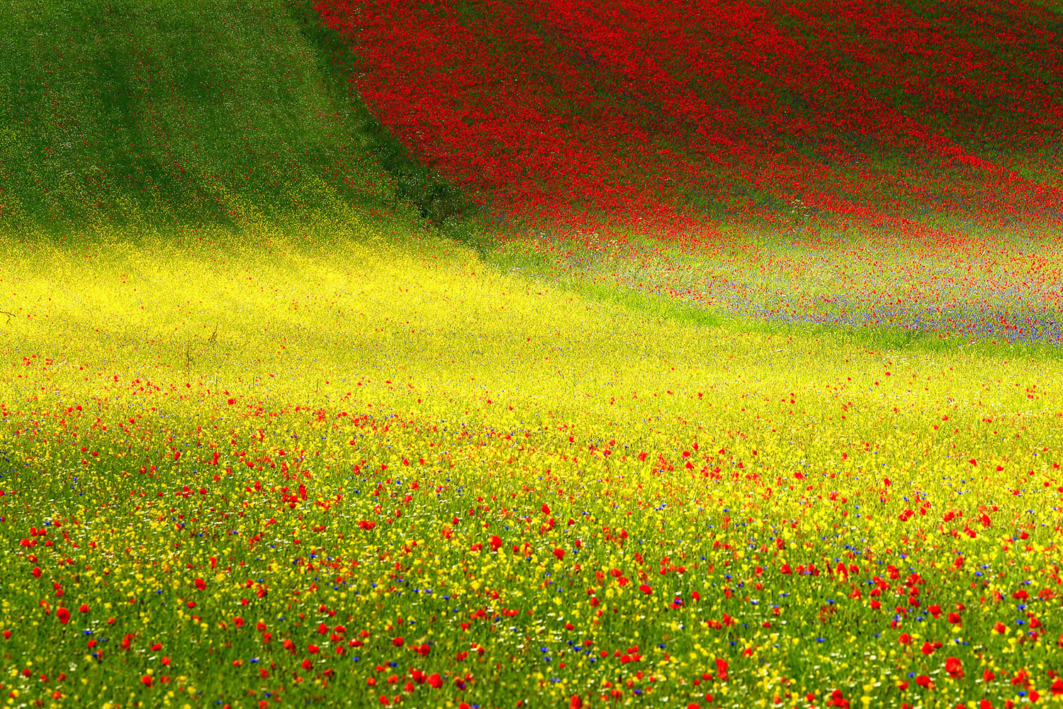 Sony-World-Photography-03-Beyond Dreams