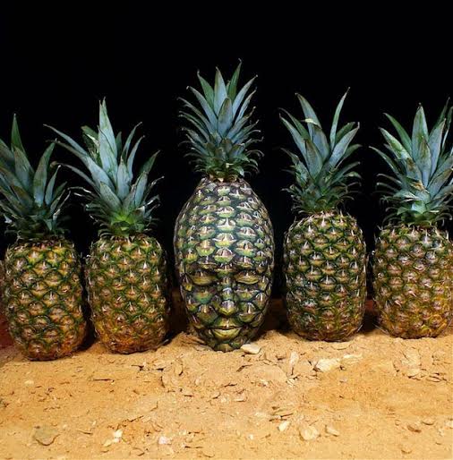 Artistas del cuerpo. Who-Mix-People-Inward -11