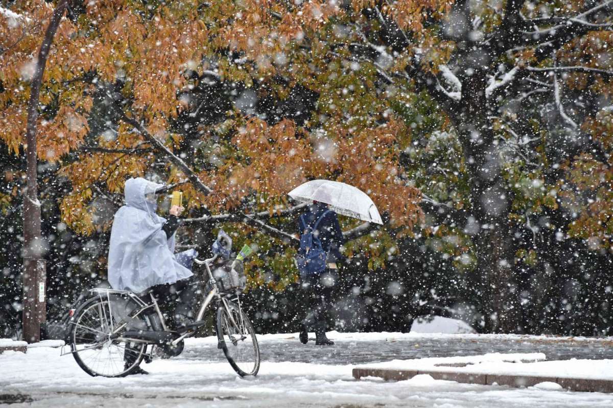 Japón-SNOW-11