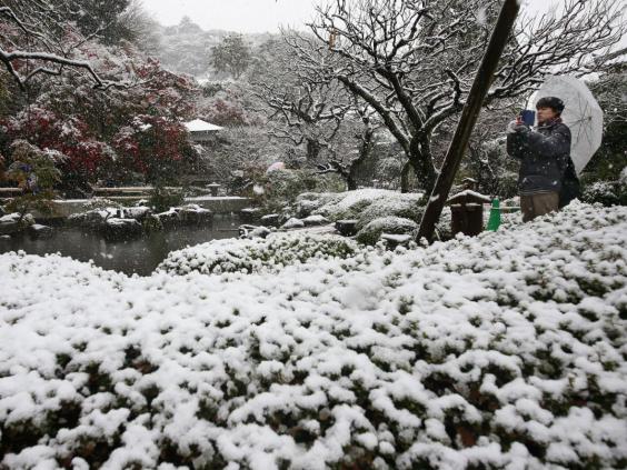 Japón-SNOW-4