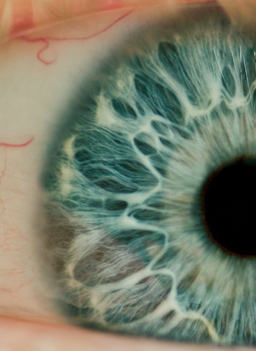 macro_photos_that_take_you_to_another_world_13