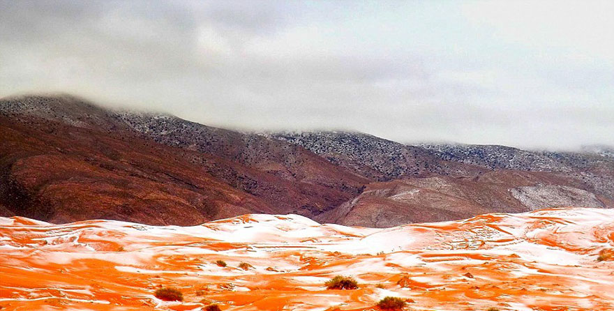 Nieve-fall-in-sahara-desert-is -doddly satisfactorio -04