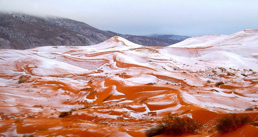 Snow-falling-in-sahara-desert-is -ddddly-satisfactoria -06