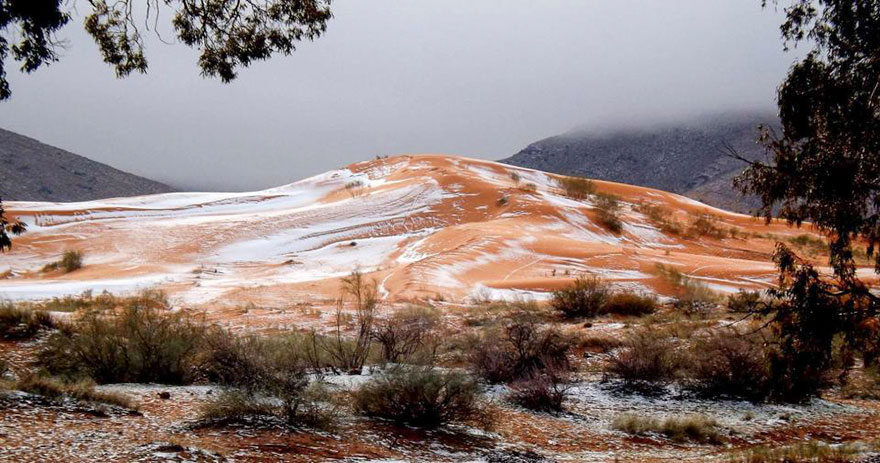 Nieve-fall-in-sahara-desert-is -ddddly-satisfactoria -09