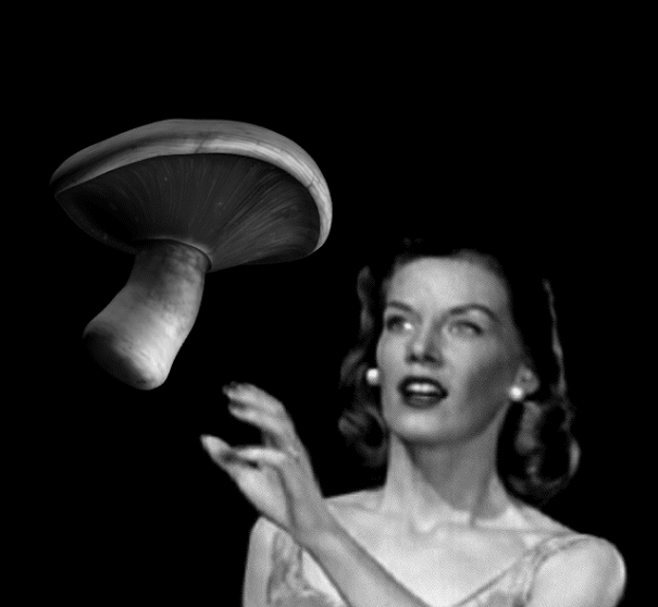 Gif surreal