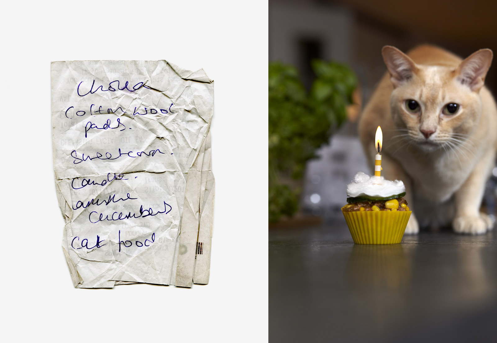 Thomas_lakeman_shopping_list_cookbook_03