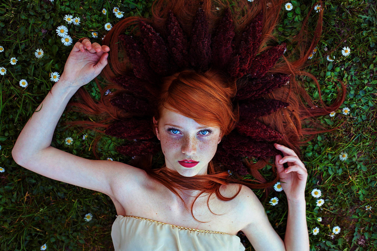 3 programas de fotos Estudian la belleza del 20 rojo
