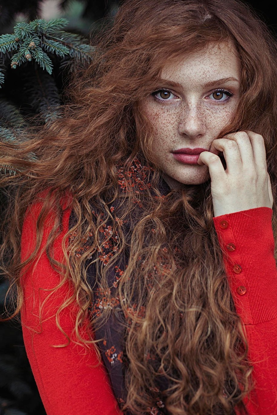 3 programas de fotos Estudiar belleza de pelirrojos 24