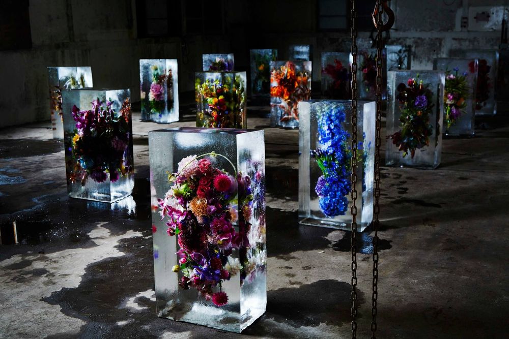 Flores de hielo