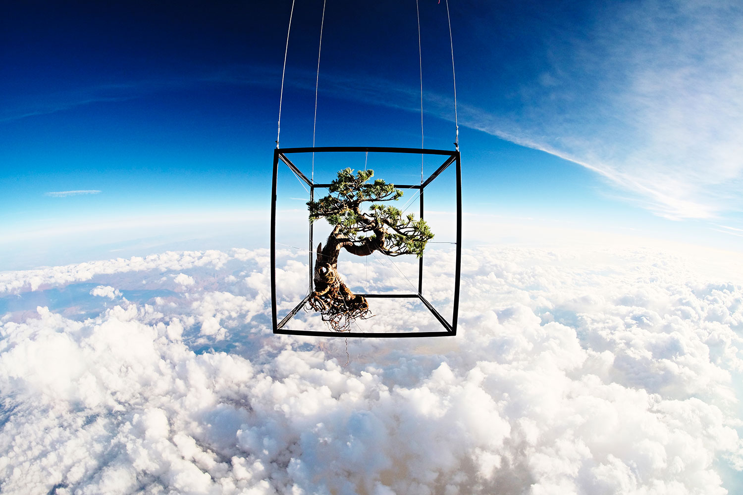 Exobotanica - vuelo espacial botánico