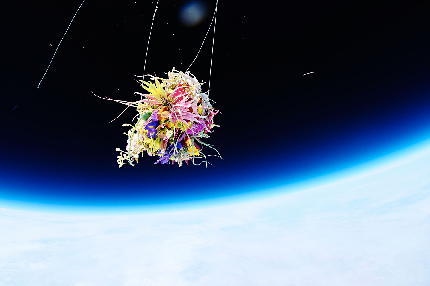 Exobotanica - vuelo espacial botánico