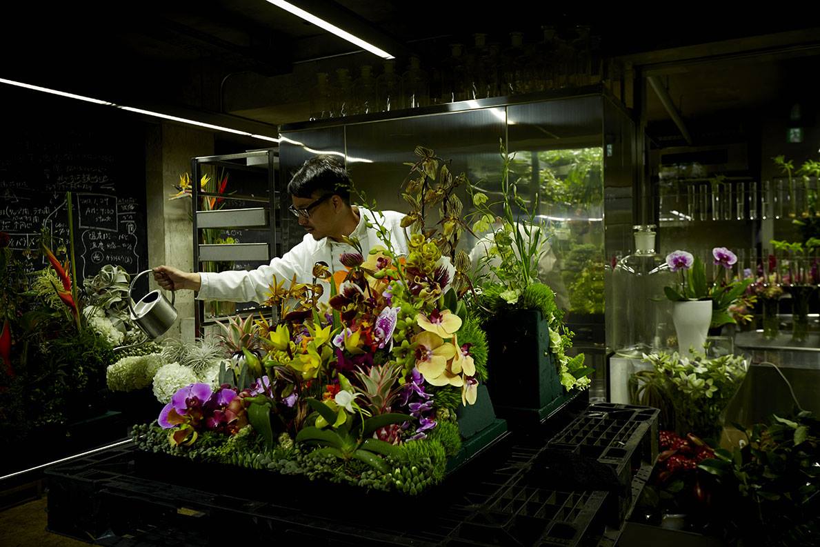 6 proyectos impresionantes que convierten la botánica en Art 3
